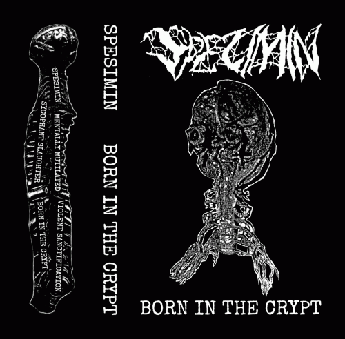 Born in the Crypt